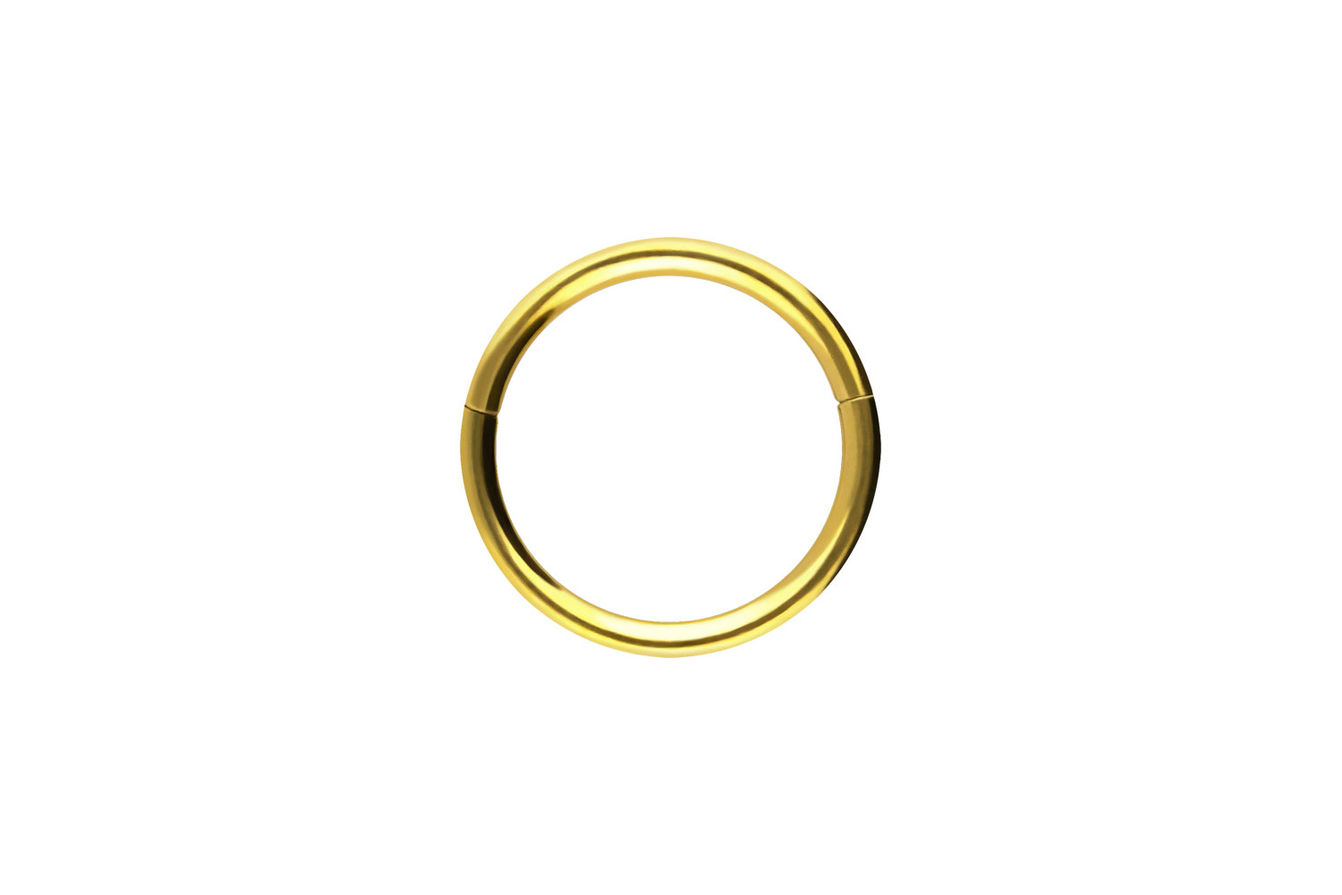 Chirurgenstahl Segmentring Clicker Piercing
